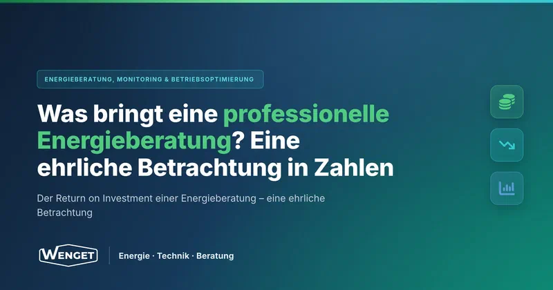 Was bringt eine professionelle Energieberatung: in Zahlen?