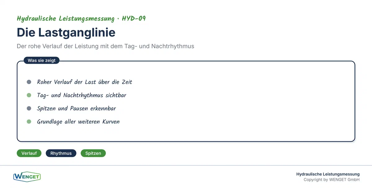 Die Lastganglinie zeigt den rohen Verlauf mit Tag- und Nachtrhythmus