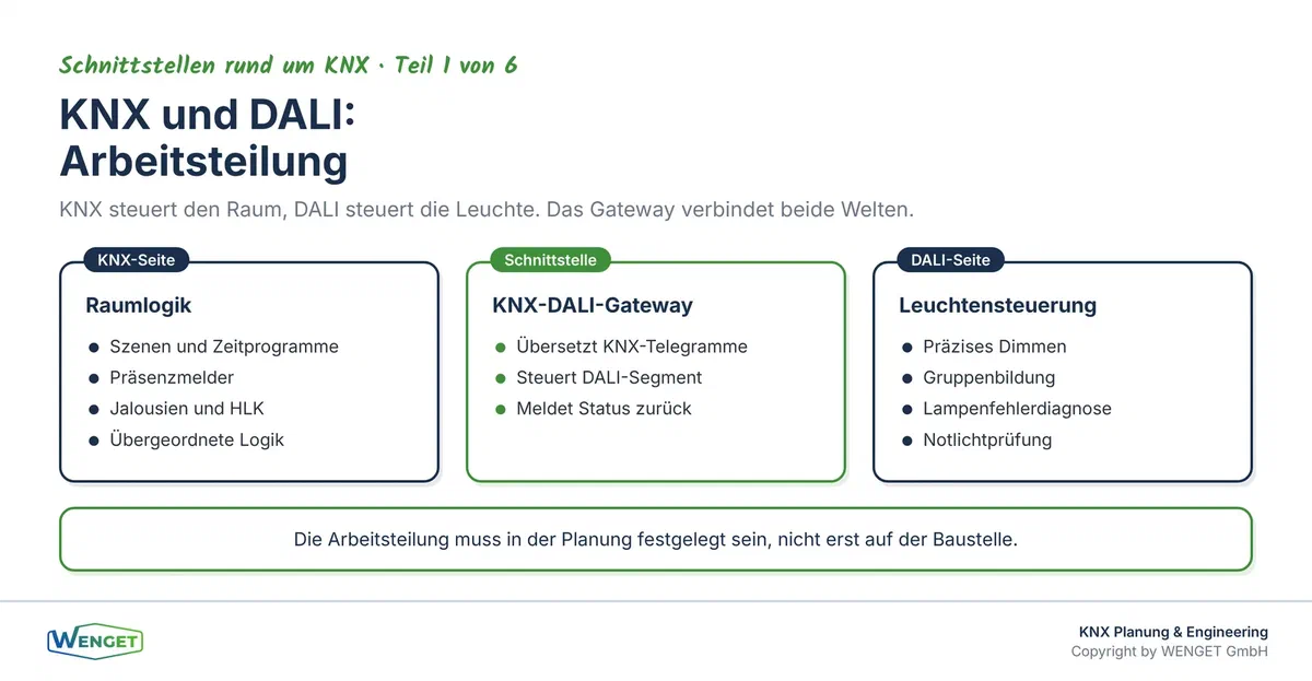 Zwei Systeme, eine Schnittstelle: KNX übernimmt die Raumlogik, DALI steuert die einzelne Leuchte.